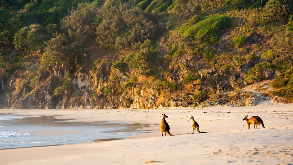 Western Australia Attractions Popular Sightseeing Guide