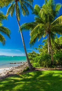 nadi-indonesia